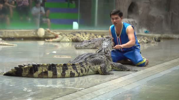 Sriracha Thailand Maart 2018 Dagelijkse Krokodillenshow Sriracha Tiger Zoo Thailand — Stockvideo