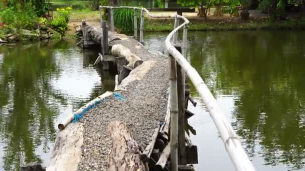 Ponte Piedi Attraverso Piccolo Fiume — Video Stock