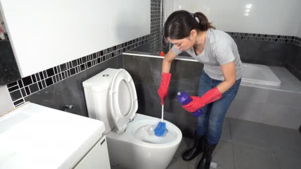 Vrouw Schoonmaken Toilet Kom Met Borstel — Stockvideo