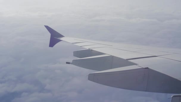 Flugzeugflügel Fliegt Über Den Wolken Himmel — Stockvideo