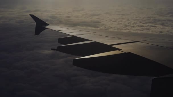 Flügel Eines Flugzeugs Das Mit Sonnenlicht Über Den Wolken Himmel — Stockvideo