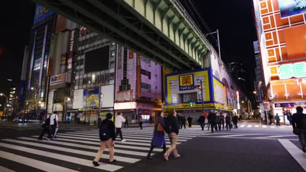 Akihabara Japonsko Března 2019 Neidendifikovaní Lidé Chodí Noci Přes Ulici — Stock video