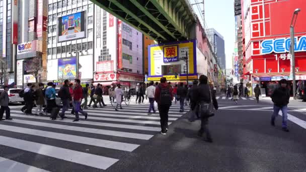 Акихабара Япония Марта 2019 Года Токио Япония Улице Акихабары Ходят — стоковое видео