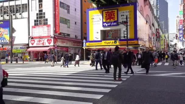 秋葉原 2019年3月25日 人々のスローモーションが東京 秋葉原の通りを歩く — ストック動画