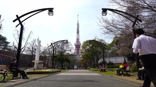 Tokio Japón Marzo 2019 Personas Identificadas Descansando Parque Shiba Con — Vídeo de stock