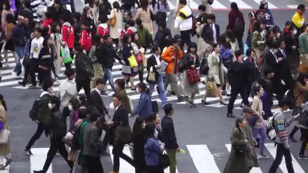 Tokyo Japon Mars 2019 Ralenti Des Gens Traversant Célèbre Rue — Video