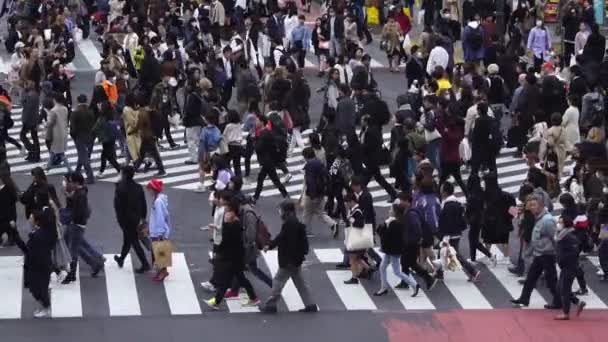 Tokyo Japan Mars 2019 Slow Motion För Människor Som Går — Stockvideo
