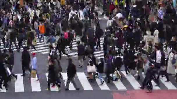 Tokio Japón Marzo 2019 Time Lapse People Cars Shibuya Famous — Vídeos de Stock