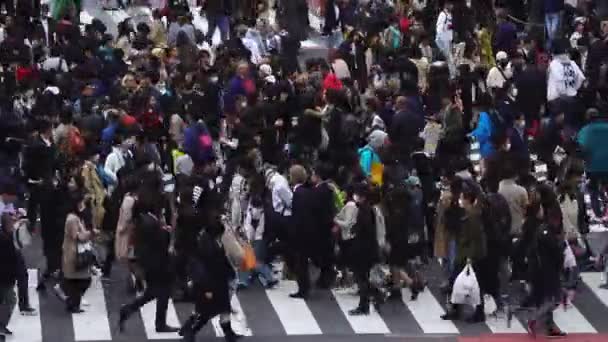 Tokyo Japan March 2019 Crowds People Walking Shibuya Famous Crossing — Stock Video