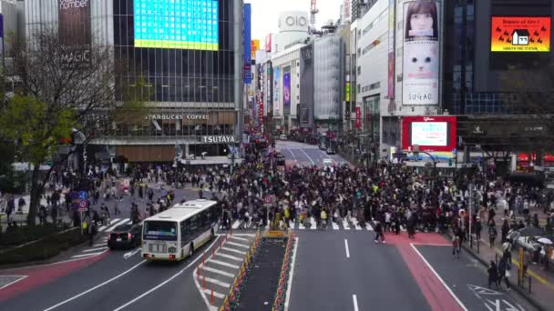 Tokio Japón Marzo 2019 Multitudes Personas Cruzando Famosa Calle Shibuya — Vídeos de Stock