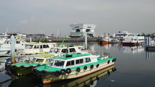 Yokohama Japan März 2019 Hafenlandschaft Der Bucht Von Yokohama Japan — Stockvideo