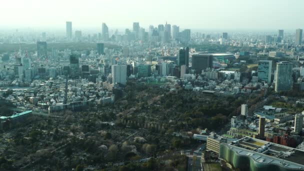 Landschap Van Tokio Stad Japan — Stockvideo