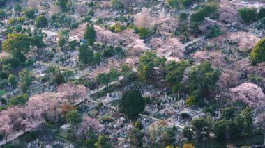 Tokyo, Japonya 'daki Aoyama mezarlığının havadan görünüşü