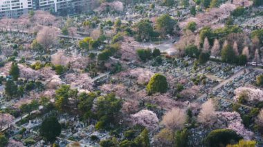 Tokyo, Japonya 'daki Aoyama mezarlığının havadan görünüşü
