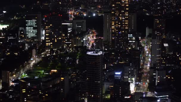 日本东京市夜间的空中景观 — 图库视频影像