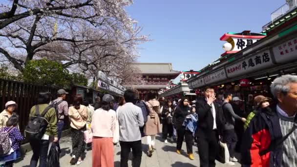 Tokyo Japão Março 2019 Pessoas Não Identificadas Visitam Templo Sensoji — Vídeo de Stock