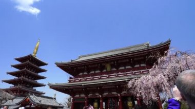 TOKYO, JAPONYA - 27 Mart 2019: Kimliği belirsiz kişiler Asakusa, Tokyo, Japonya 'daki Sensoji tapınağını kiraz çiçeğiyle ziyaret ettiler