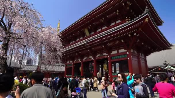 Tokio Japón Marzo 2019 Personas Identificadas Visitan Templo Sensoji Con — Vídeos de Stock