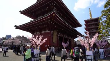 TOKYO, JAPONYA - 27 Mart 2019: Kimliği belirsiz kişiler Asakusa, Tokyo, Japonya 'daki Sensoji tapınağını kiraz çiçeğiyle ziyaret ettiler