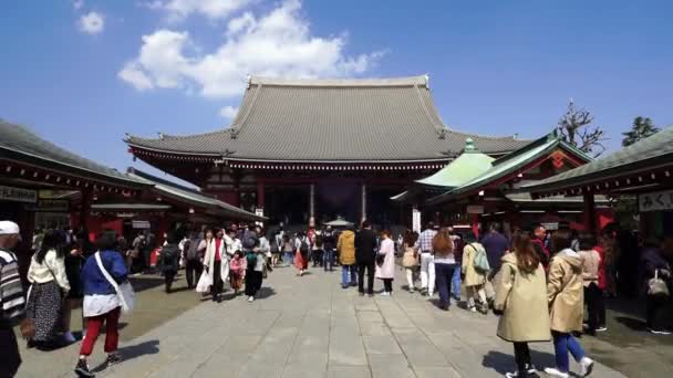 東京都 2019年3月27日 未確認の方が浅草の浅草寺を訪れる — ストック動画