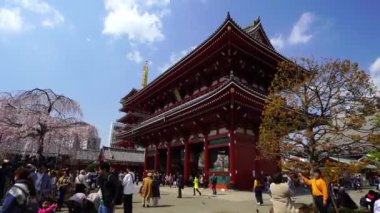 TOKYO, JAPONYA - 27 Mart 2019: Kimliği belirsiz kişiler Asakusa, Tokyo, Japonya 'daki Sensoji tapınağını kiraz çiçeğiyle ziyaret ettiler