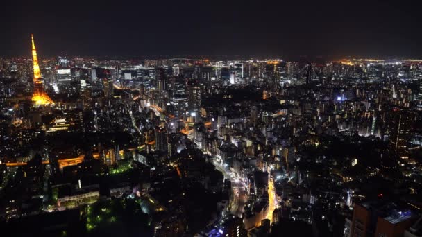 日本东京市夜间的空中景观 — 图库视频影像