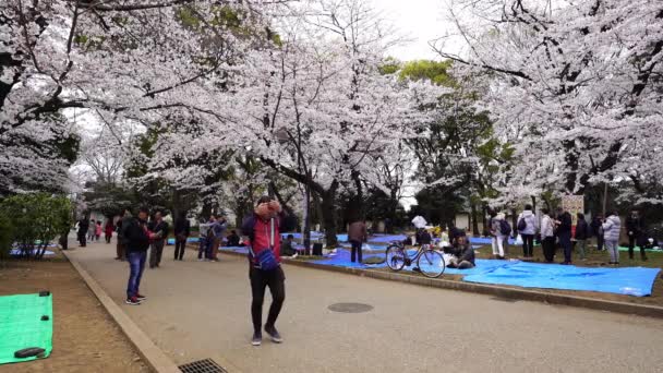 Tokyo Japonyan Mart 2019 Ueno Park Kiraz Çiçeği Festivali Ueno — Stok video