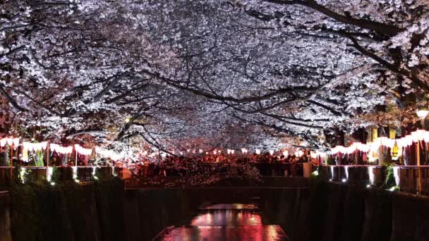 日本东京 2019年3月29日 梅古鲁河的樱花节 梅古鲁河在春季是很受欢迎的地方 — 图库视频影像