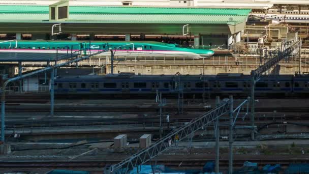 Tokyo Japan March 2019 Time Lapse Train Approaching Tokyo Railway — Stock Video