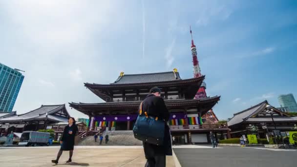 Tokyo Japonya Mart 2019 Tokyo Kulesi Geçmişine Sahip Antik Zojoji — Stok video
