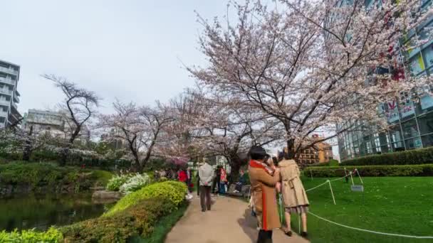 Tokio Japan März 2019 Unbekannte Besuchen Die Kirschblüte Roppongi Mori — Stockvideo