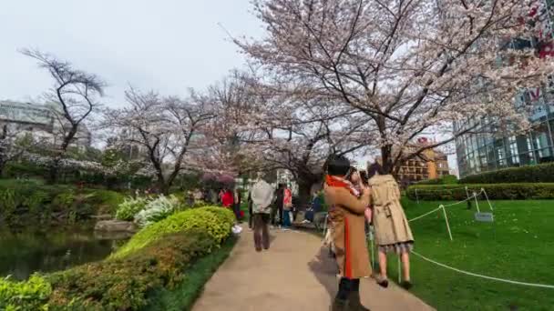 Tokio Japan März 2019 Unbekannte Besuchen Die Kirschblüte Roppongi Mori — Stockvideo