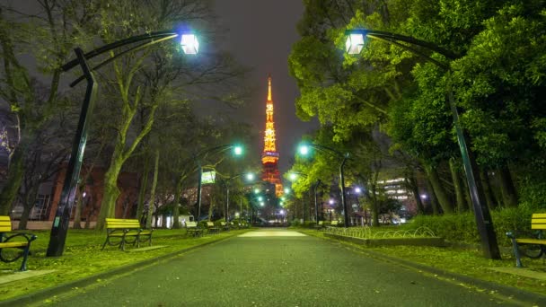 Upływ Czasu Shiba Park Nocy Tokio Japonia — Wideo stockowe