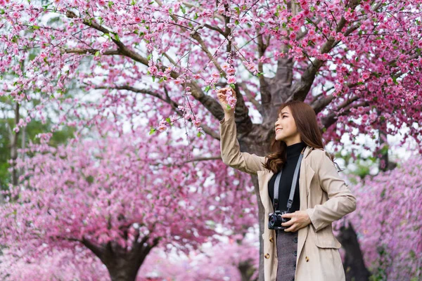 Νεαρή Γυναίκα Ταξιδιώτη Που Αναζητούν Άνθη Κερασιάς Λουλούδι Sakura Ανθίζει — Φωτογραφία Αρχείου