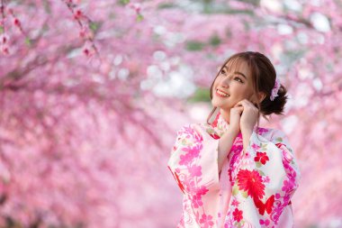Yukata 'lı kadın (kimono elbisesi) sakura çiçeği ya da bahçede açan kiraz çiçeğine bakıyor.