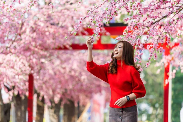 Cheerful Woman Traveler Looking Cherry Blossoms Sakura Flower Blooming Park — Stock Photo, Image