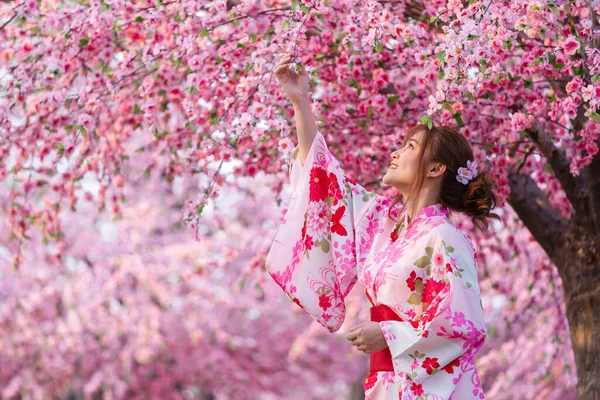 Γυναίκα Yukata Κιμονό Φόρεμα Αναζητούν Λουλούδι Sakura Άνθη Κερασιάς Ανθίζουν — Φωτογραφία Αρχείου