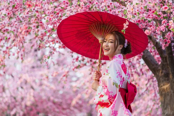 Γυναίκα Yukata Κιμονό Φόρεμα Κρατώντας Ομπρέλα Και Αναζητούν Λουλούδι Sakura — Φωτογραφία Αρχείου