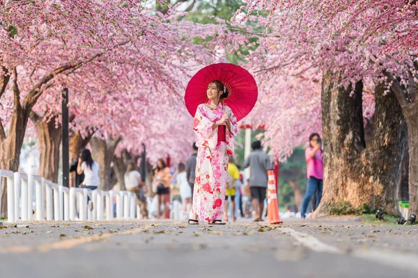 Γυναίκα Yukata Κιμονό Φόρεμα Κρατώντας Ομπρέλα Και Αναζητούν Λουλούδι Sakura — Φωτογραφία Αρχείου