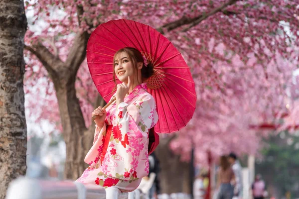 Donna Yukata Abito Kimono Che Tiene Ombrello Guardando Fiore Sakura — Foto Stock