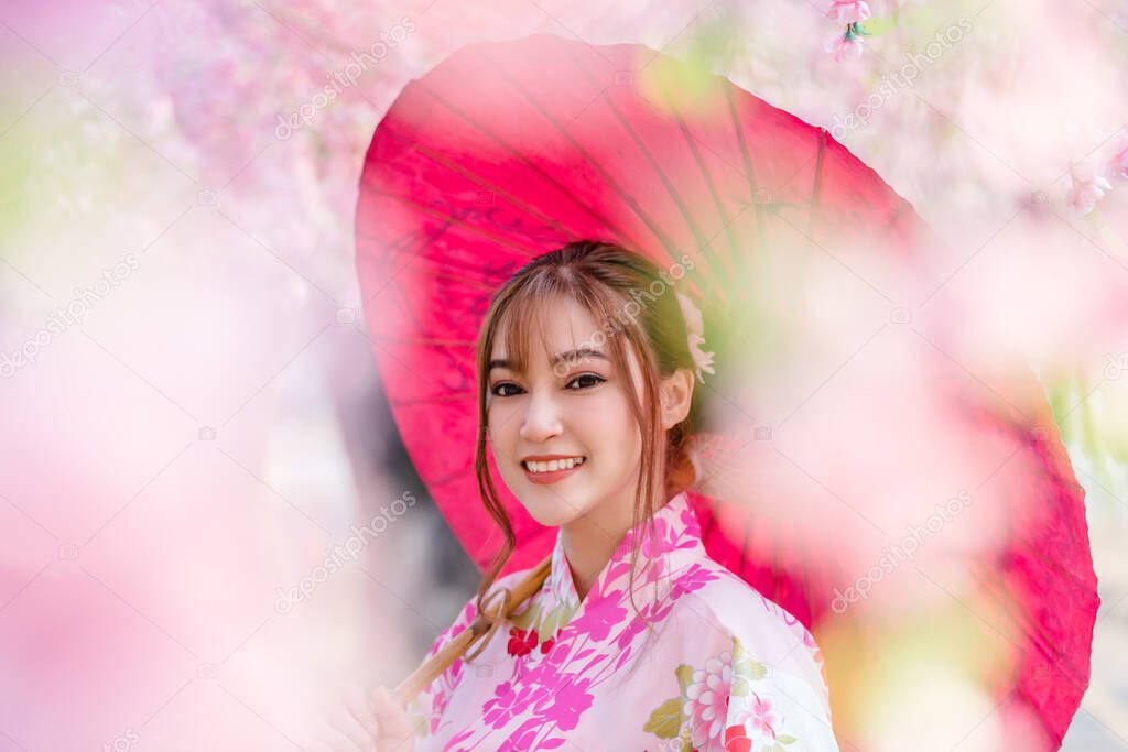 woman in yukata (kimono dress) holding umbrella and looking sakura flower or cherry blossom blooming in the garden