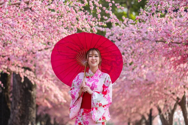 Donna Yukata Abito Kimono Che Tiene Ombrello Guardando Fiore Sakura — Foto Stock