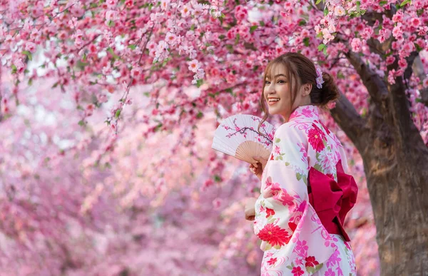 Mulher Yukata Vestido Quimono Segurando Ventilador Dobrável Olhando Flor Sakura — Fotografia de Stock