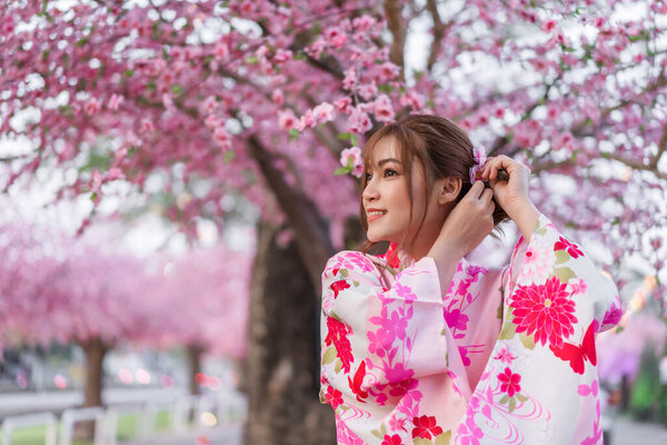 woman in yukata (kimono dress) looking sakura flower or cherry blossom blooming in the garden