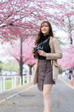 Genç kadın gezgin kiraz çiçeklerine bakıyor ya da sakura çiçeği açıyor ve parkta fotoğraf çekmek için kamerayı tutuyor.