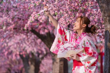 Yukata (kimono elbise) giymiş bir kadın yelpaze tutuyor ve sakura çiçeği ya da bahçede açan kiraz çiçeklerine bakıyor.