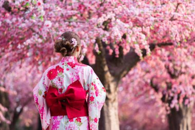 Yukata 'lı kadın (kimono elbisesi) sakura çiçeği ya da bahçede açan kiraz çiçeğine bakıyor.
