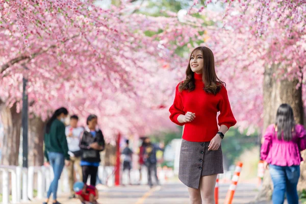 Mujer Alegre Viajero Buscando Flores Cerezo Flor Sakura Floreciendo Parque —  Fotos de Stock