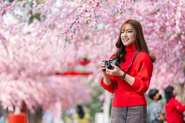 Jovem Viajante Olhando Flores Cereja Flor Sakura Florescendo Segurando Câmera — Fotografia de Stock