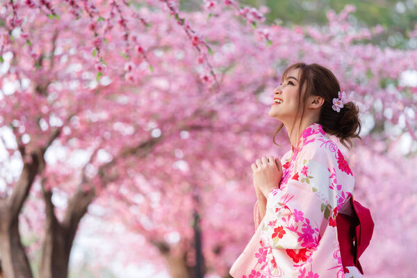 woman in yukata (kimono dress) looking sakura flower or cherry blossom blooming in the garden